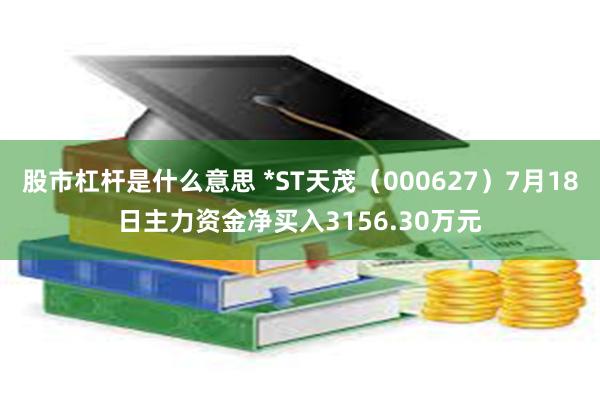 股市杠杆是什么意思 *ST天茂（000627）7月18日主力资金净买入3156.30万元