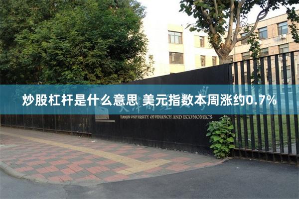 炒股杠杆是什么意思 美元指数本周涨约0.7%
