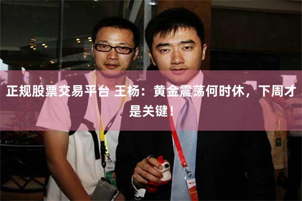 正规股票交易平台 王杨：黄金震荡何时休，下周才是关键！