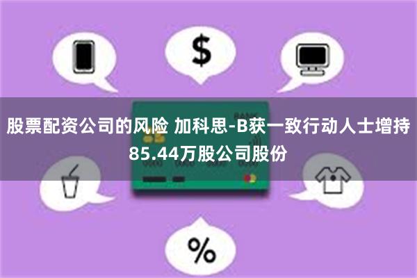 股票配资公司的风险 加科思-B获一致行动人士增持85.44万股公司股份