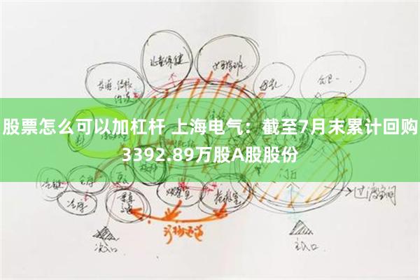 股票怎么可以加杠杆 上海电气：截至7月末累计回购3392.89万股A股股份