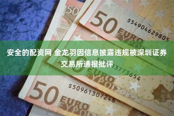 安全的配资网 金龙羽因信息披露违规被深圳证券交易所通报批评