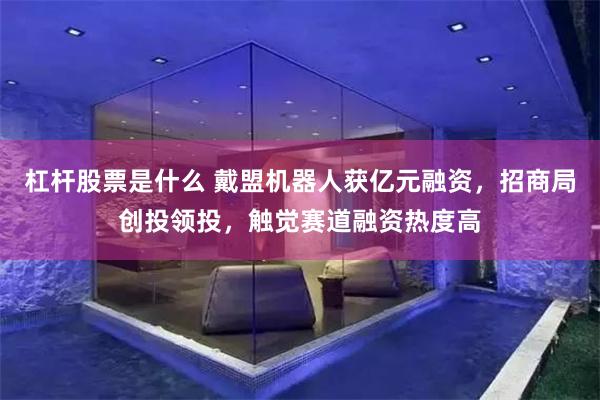 杠杆股票是什么 戴盟机器人获亿元融资，招商局创投领投，触觉赛道融资热度高
