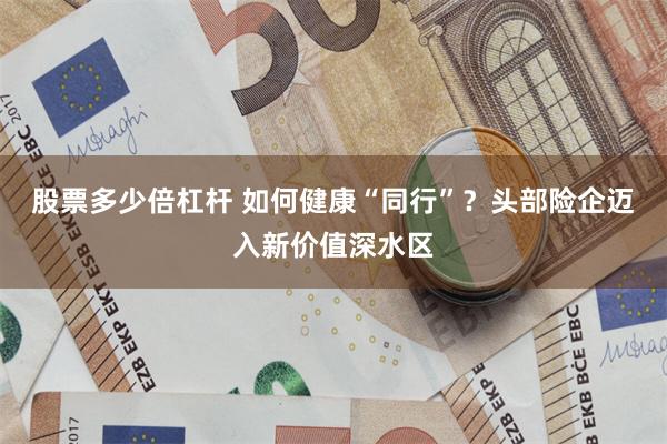 股票多少倍杠杆 如何健康“同行”？头部险企迈入新价值深水区
