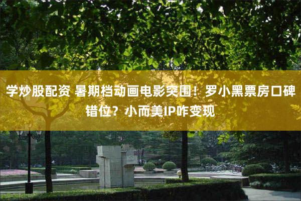 学炒股配资 暑期档动画电影突围！罗小黑票房口碑错位？小而美IP咋变现