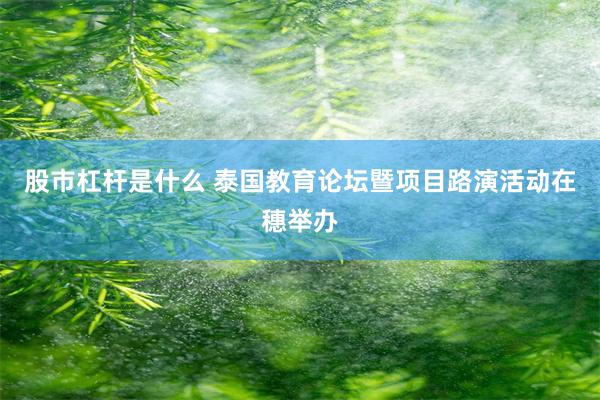 股市杠杆是什么 泰国教育论坛暨项目路演活动在穗举办