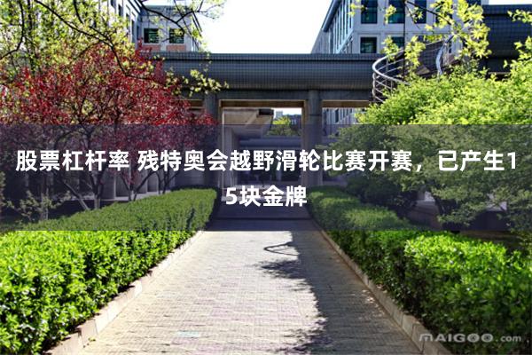 股票杠杆率 残特奥会越野滑轮比赛开赛，已产生15块金牌