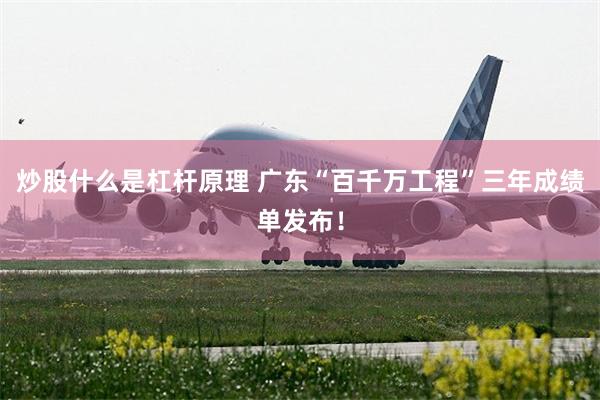 炒股什么是杠杆原理 广东“百千万工程”三年成绩单发布！