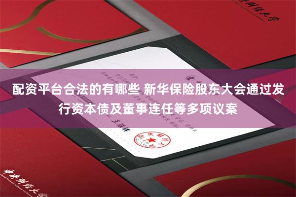 配资平台合法的有哪些 新华保险股东大会通过发行资本债及董事连任等多项议案