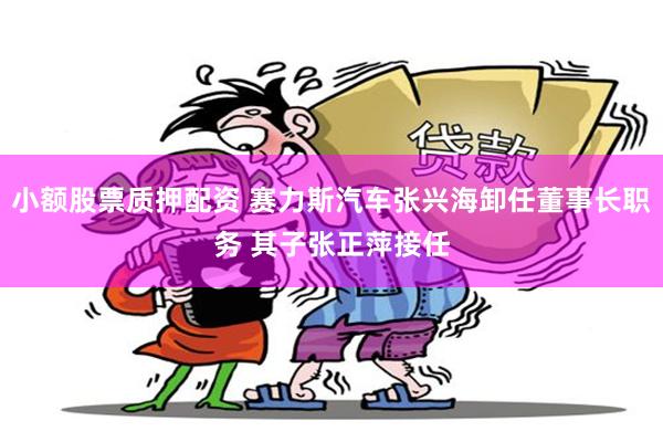 小额股票质押配资 赛力斯汽车张兴海卸任董事长职务 其子张正萍接任