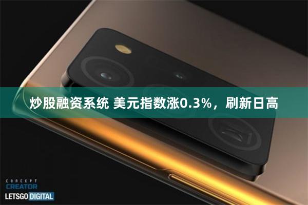 炒股融资系统 美元指数涨0.3%，刷新日高
