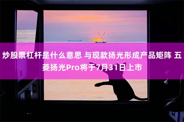 炒股票杠杆是什么意思 与现款扬光形成产品矩阵 五菱扬光Pro将于7月31日上市