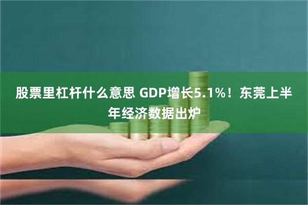 股票里杠杆什么意思 GDP增长5.1%！东莞上半年经济数据出炉
