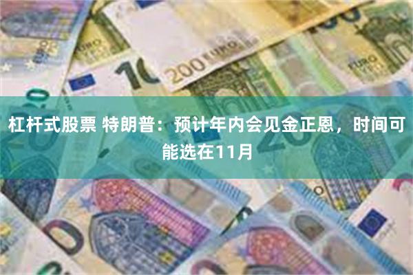 杠杆式股票 特朗普：预计年内会见金正恩，时间可能选在11月