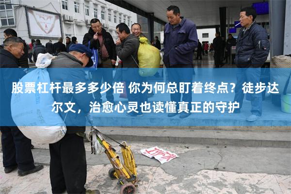股票杠杆最多多少倍 你为何总盯着终点？徒步达尔文，治愈心灵也读懂真正的守护