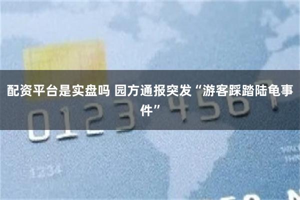 配资平台是实盘吗 园方通报突发“游客踩踏陆龟事件”