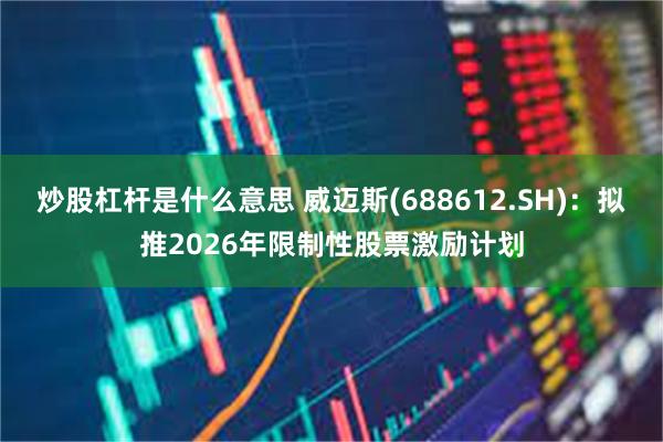 炒股杠杆是什么意思 威迈斯(688612.SH)：拟推2026年限制性股票激励计划