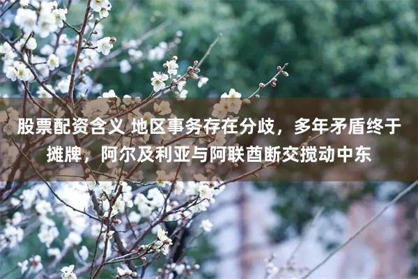 股票配资含义 地区事务存在分歧，多年矛盾终于摊牌，阿尔及利亚与阿联酋断交搅动中东