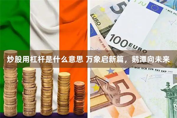 炒股用杠杆是什么意思 万象启新篇，鹅潭向未来