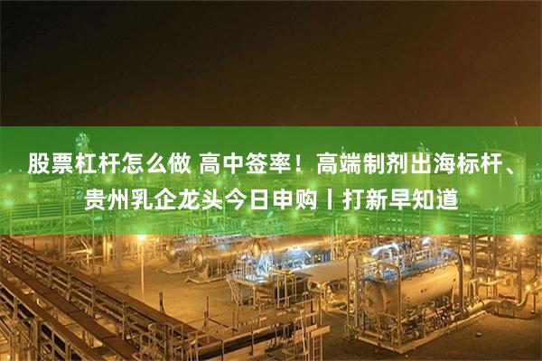 股票杠杆怎么做 高中签率！高端制剂出海标杆、贵州乳企龙头今日申购丨打新早知道