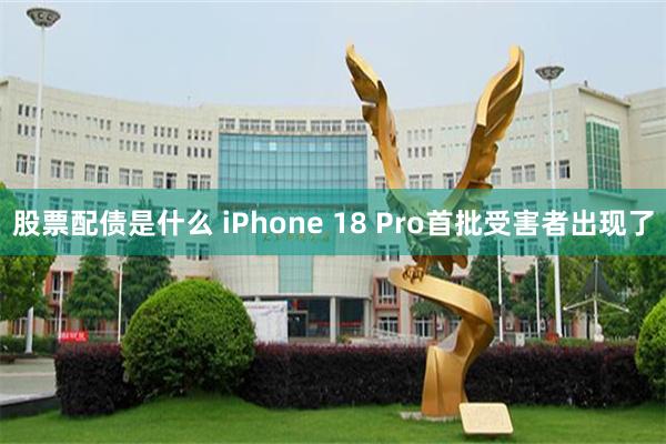 股票配债是什么 iPhone 18 Pro首批受害者出现了